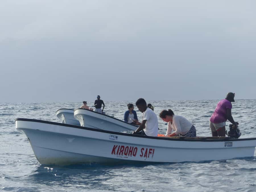 Zanzibar: Swimming with Dolphins and Snorkeling Private Tour - The swim moment: what it feels like when conditions line up