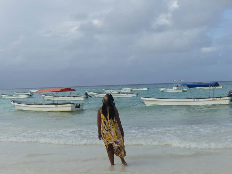 Zanzibar: Swimming with Dolphins and Snorkeling Private Tour - What you’re paying for: the $120 per person value test