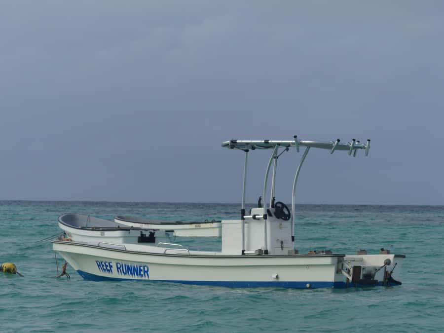 Zanzibar: Swimming with Dolphins and Snorkeling Private Tour - Hotel pickup in air-conditioned comfort (and the two likely starting villages)